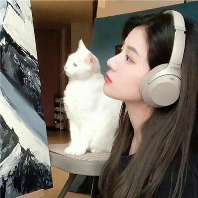 将军夫人有点强