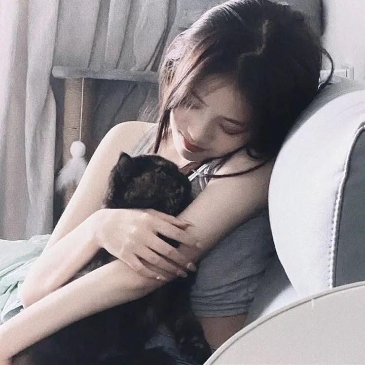 我叫哀木涕之山口山战记