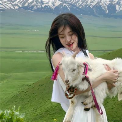 大秦帝国之纵横